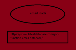 Email Leads